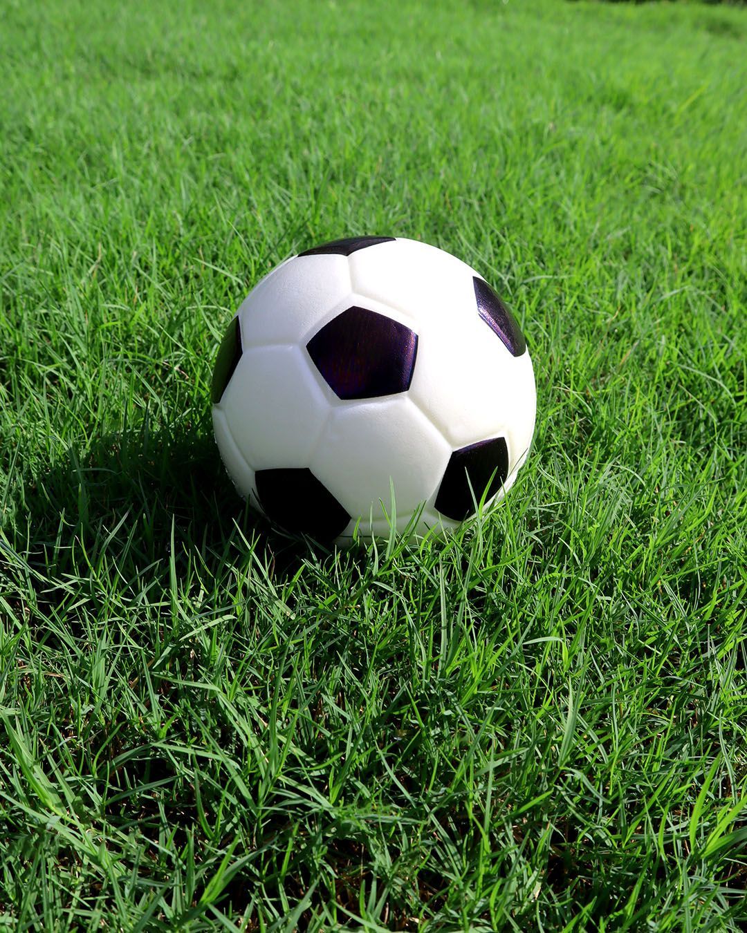 Black-and-white soccer ball resting on green grass outdoors