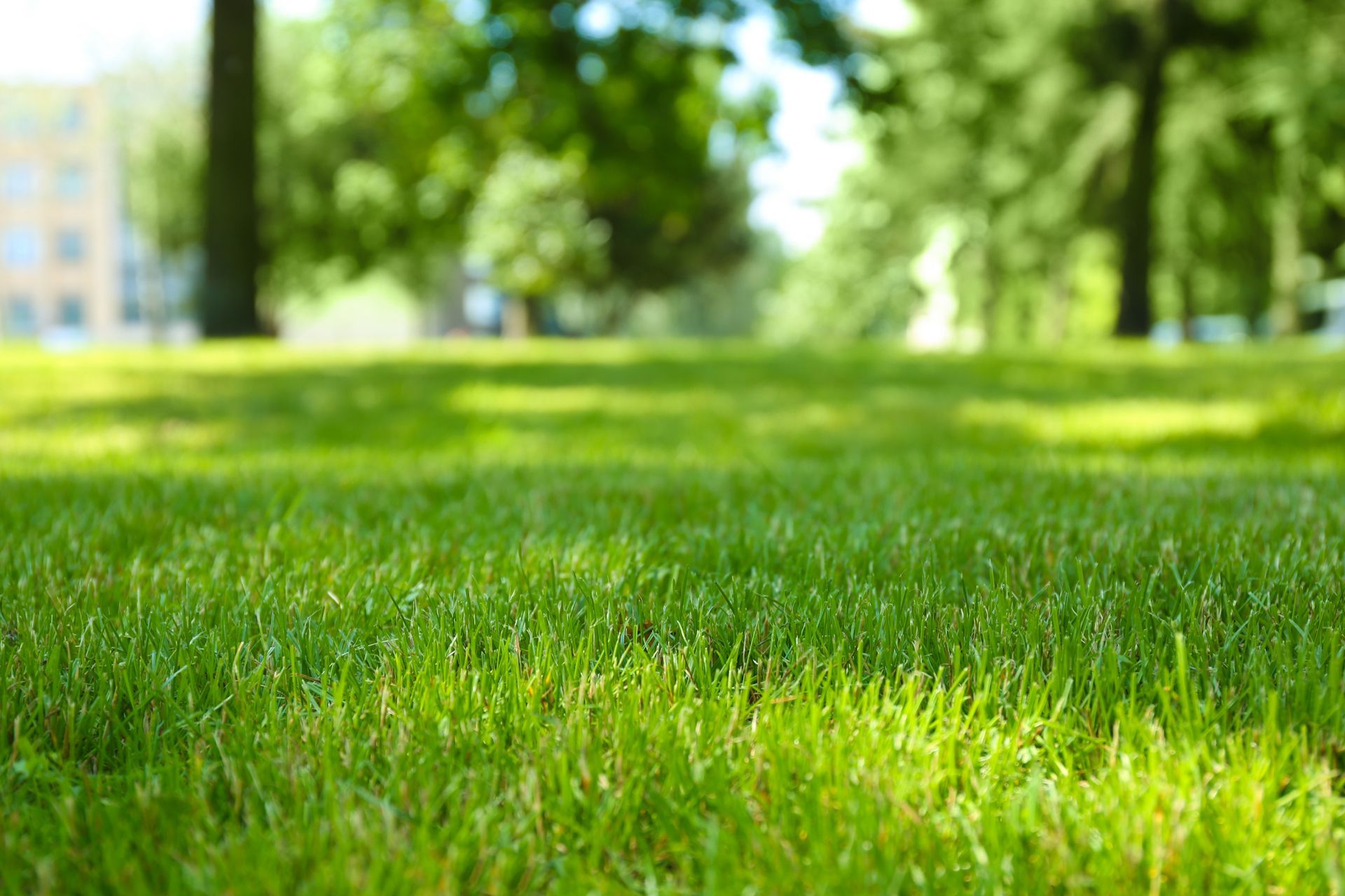 Stacked rolls of artificial turf or sod on wooden pallets outdoors