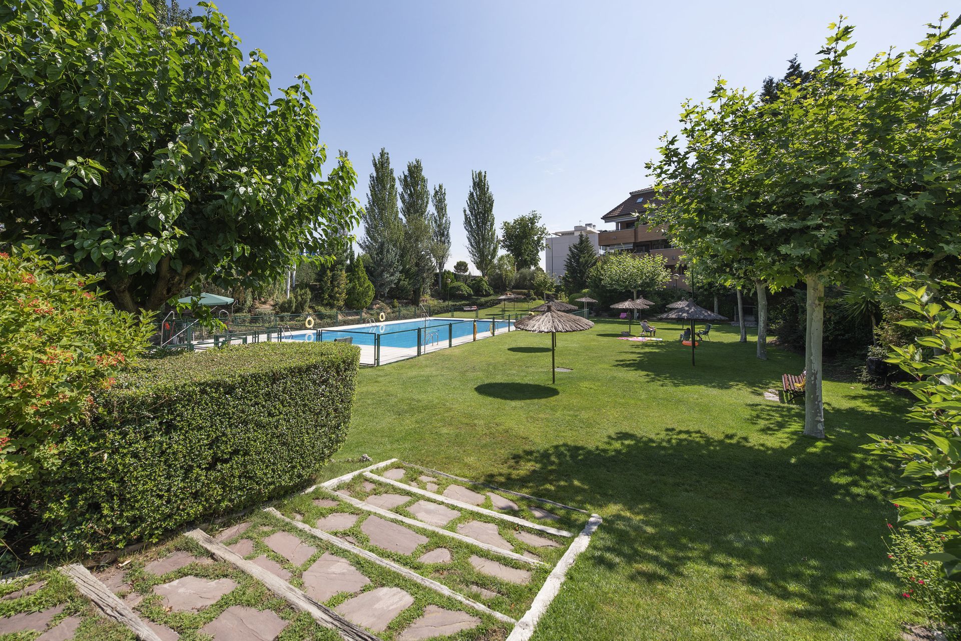 Green garden with a swimming pool, lawn, hedges, and trees under a clear sky