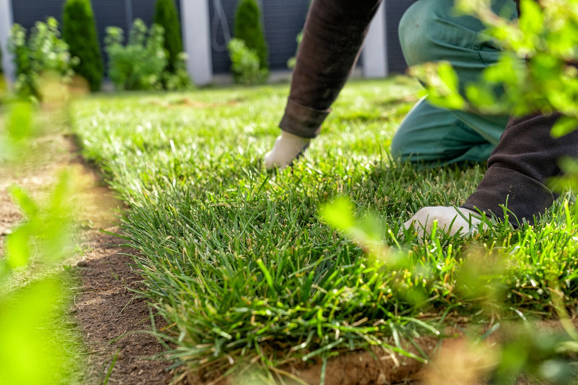 Gardener kneeling and planting grass in a sunlit lawn with green gloves and tools nearby