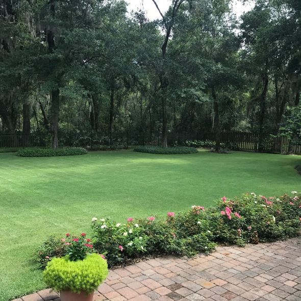 Green lawn with flower bed and brick path beside a wooded garden border