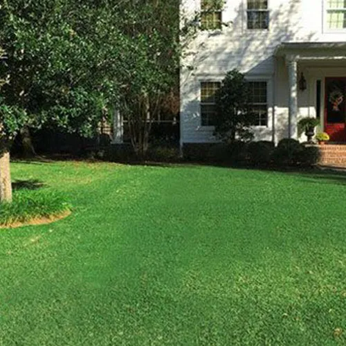 Rolled grass sod stacked in a row, showing green blades and brown soil on the cut edges
