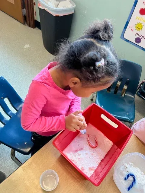 A child in a pink shirt puts a candy cane into a red bin filled with white, powdery substance.