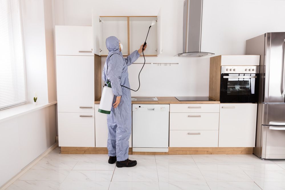 A Man In A Protective Suit Is Spraying A Kitchen Cabinet With A Sprayer — KMC Pest Management in Armidale, NSW