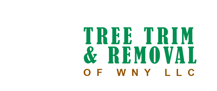 Tree Trim and Removal WNY