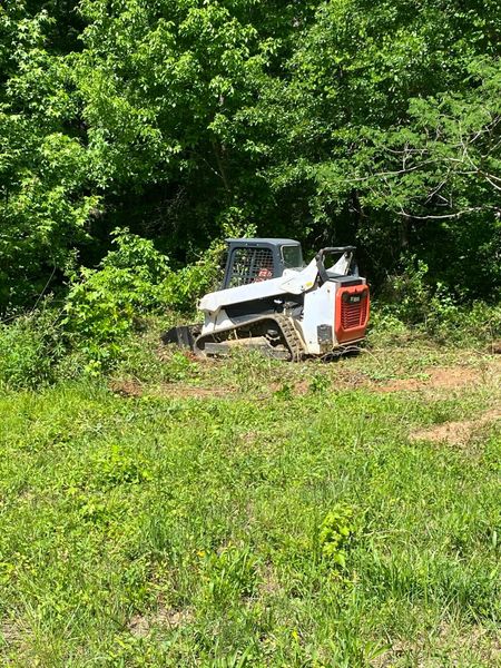 A white and orange tracked skid-steer loader clears brush along the edge of a dense, green forest.