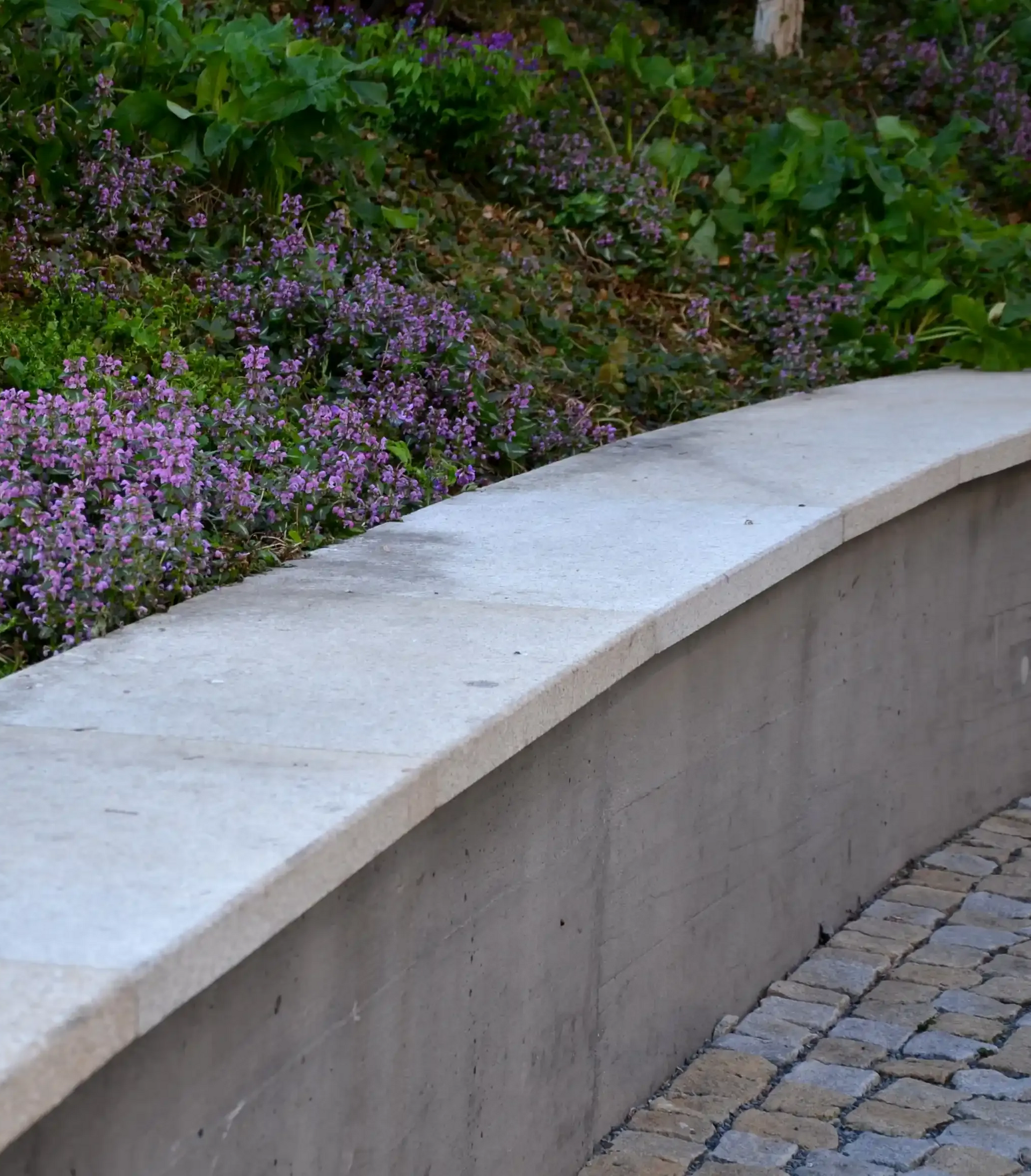 Low concrete wall with purple flowers, plants, and cobblestones.
