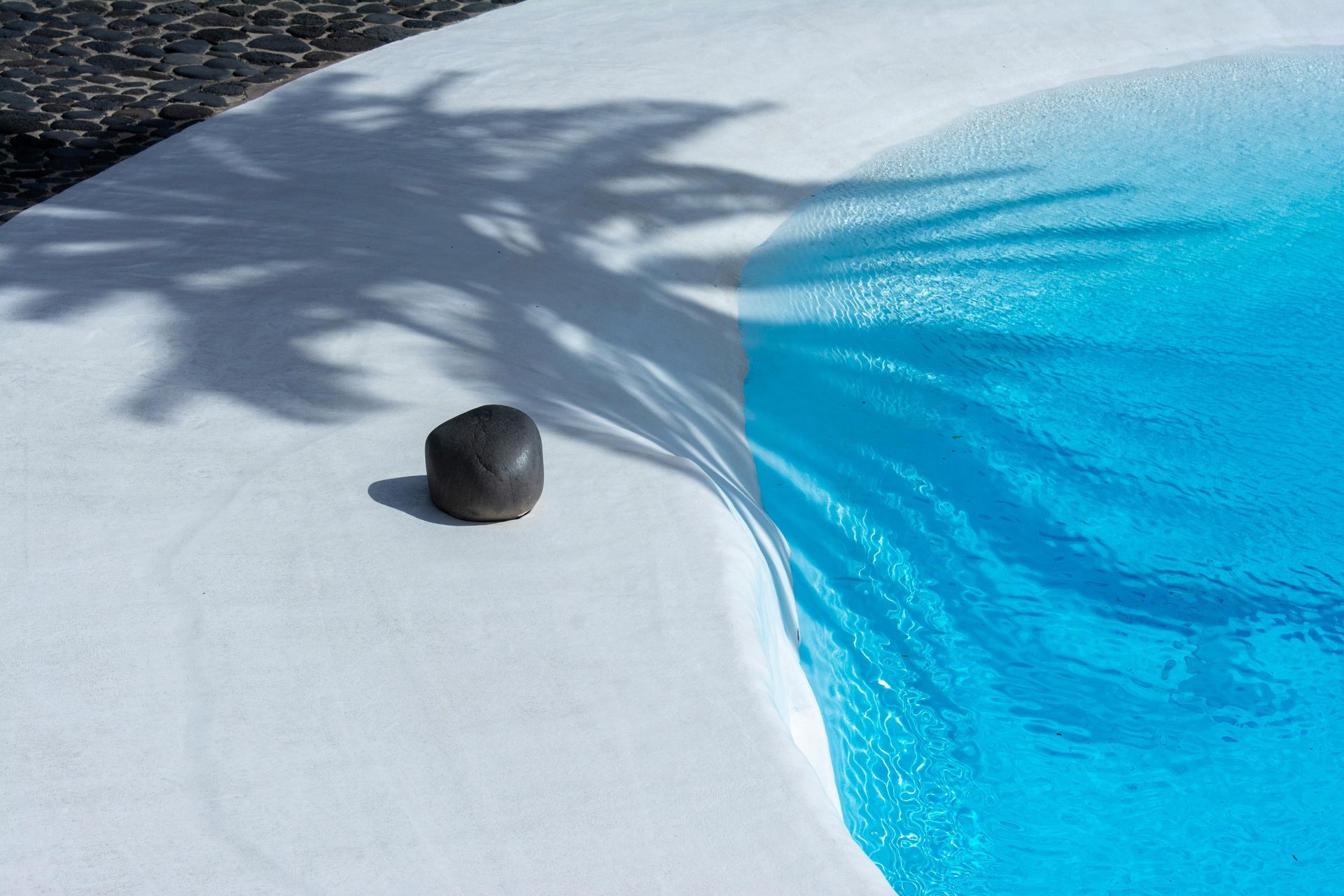 Shadow of palm tree on white concrete, blue water in a rounded pool, a dark stone.