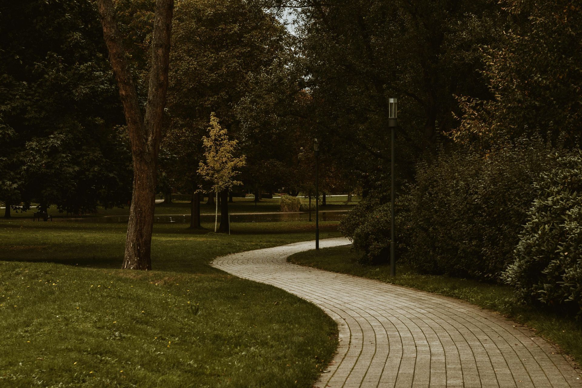 Winding brick path through a park with green grass, trees, and a muted color palette.