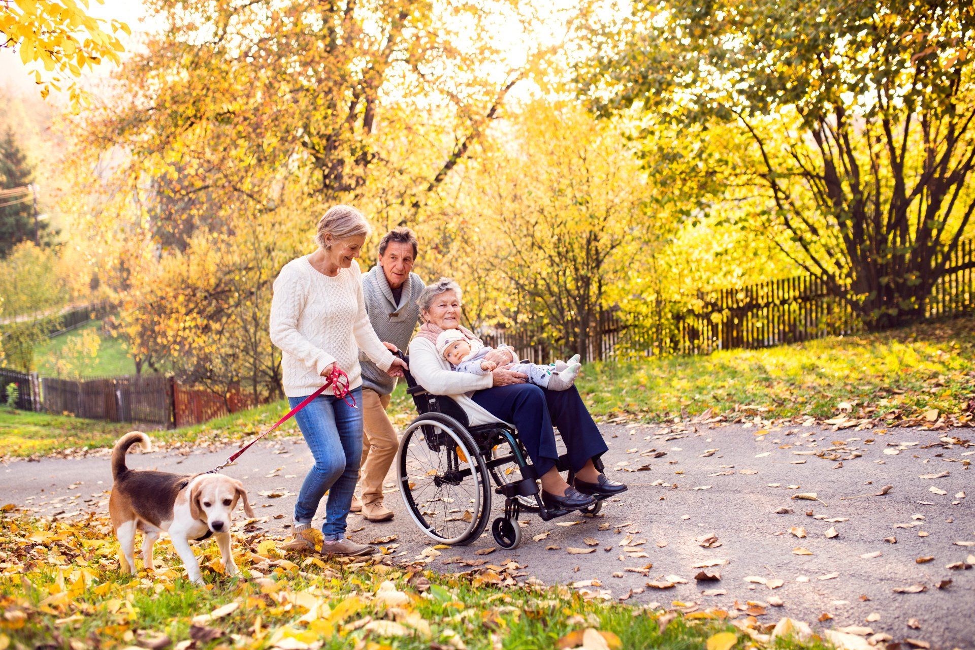 Wheelchair Guide For The Holidays