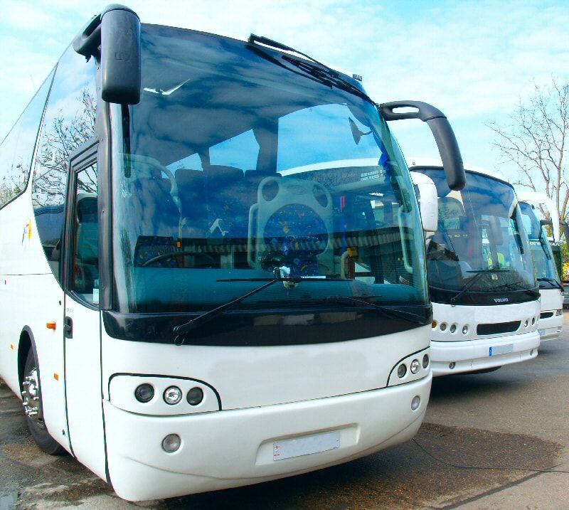 White tour buses parked in a row, with curved windshields and black accents.