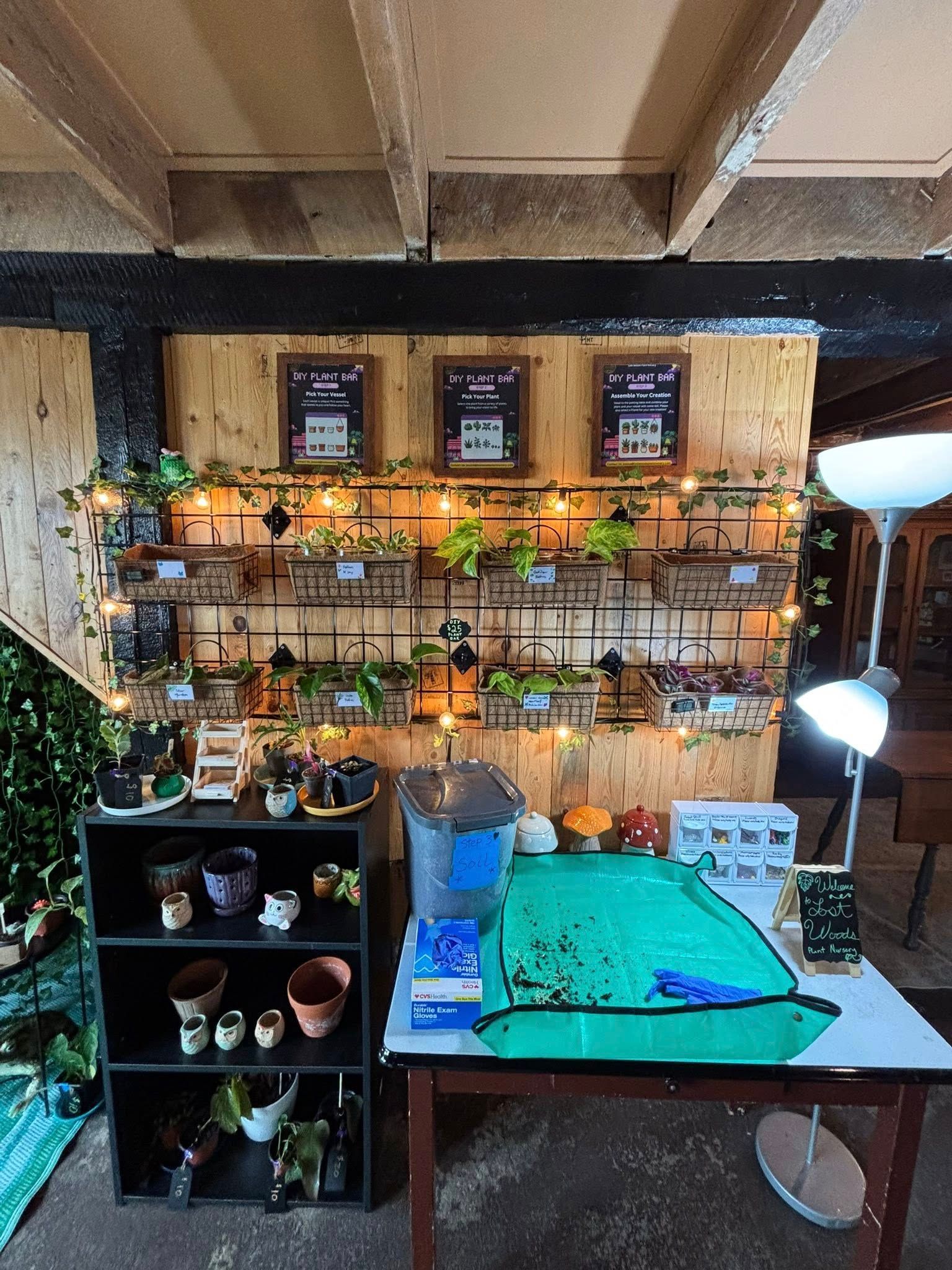 Display of plants and crafts at a market stall with wooden backdrop, shelves, and fairy lights.