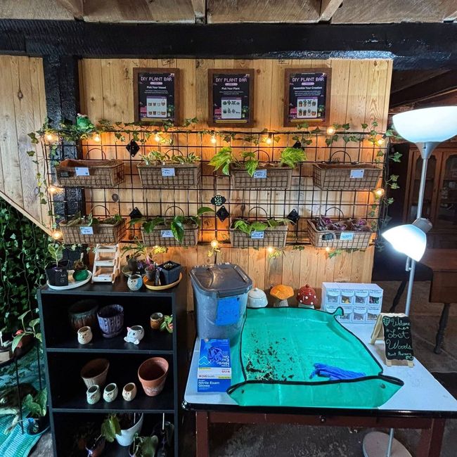 A plant shop display with hanging baskets, pots, and a seed starter kit.