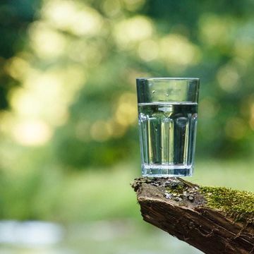 Glass of water 