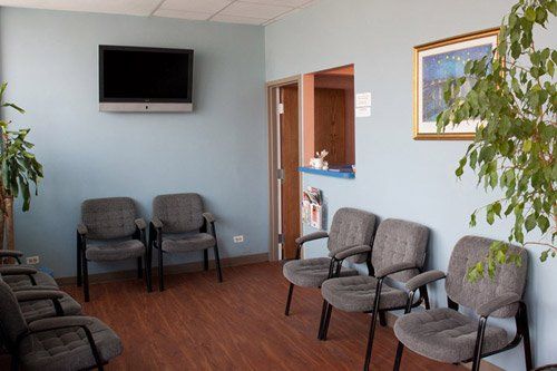 Waiting Area — Chicago, IL — Coler Chiropractic