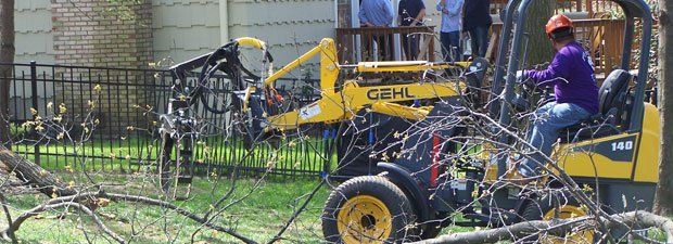Person Using Machine For Tree Removal  — Middlesex County, NJ — Mickiewicz Arbor Experts, LLC