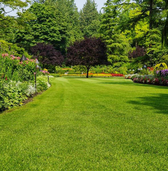 Beautiful Lawn — Middlesex County, NJ — Mickiewicz Arbor Experts, LLC