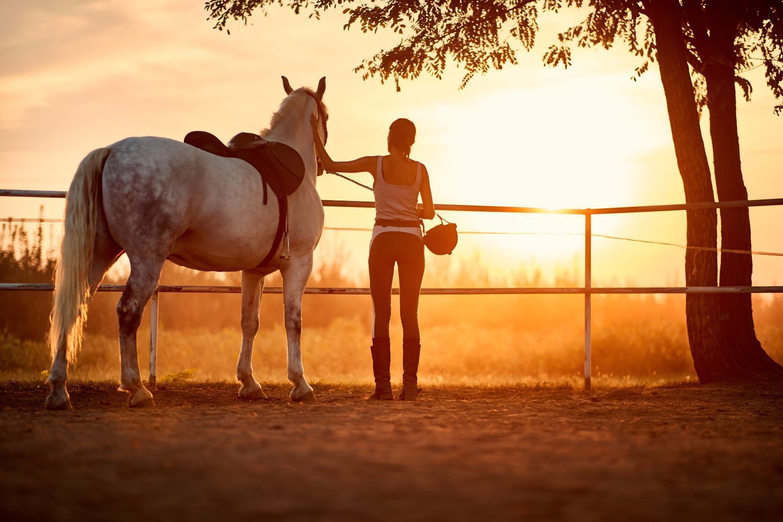 A Woman Is Standing Next To A Horse — Sunshine Coast Farrier Services In Caboolture, QLD