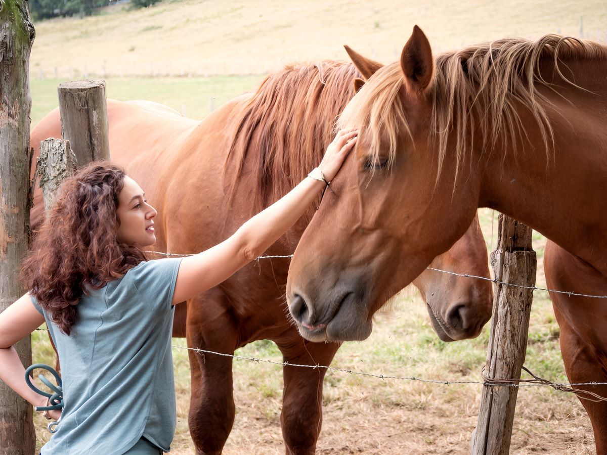 A Woman Petting A Brown Horse — Sunshine Coast Farrier Services In Landsborough, QLD