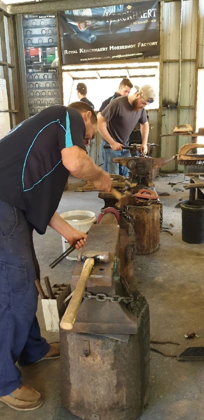 A Brown Horse Is Running Through A Grassy Field — Sunshine Coast Farrier Services In Caboolture, QLD