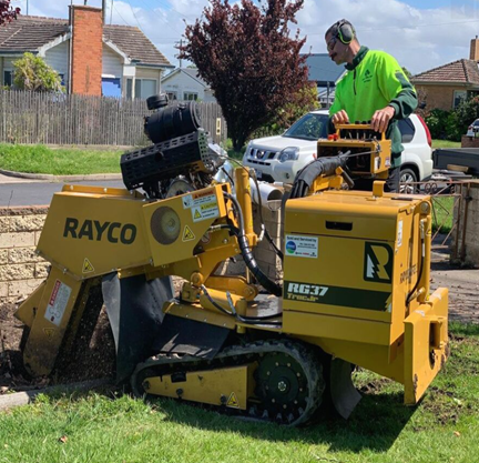 Stump Grinding Services — Colac, VIC — Colac Trees