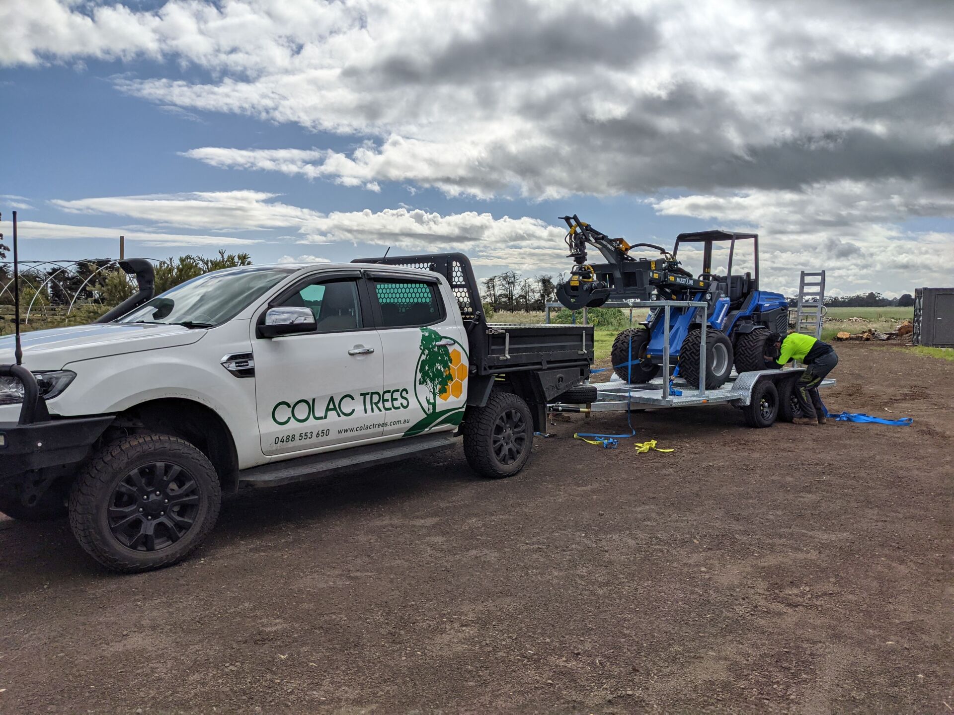 Tree Bracing — Colac, VIC — Colac Trees