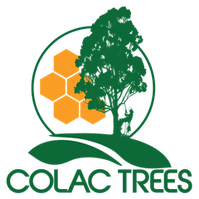 Colac Trees