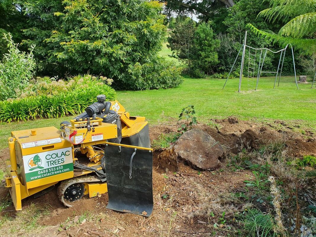 Stump Grinding — Colac, VIC — Colac Trees