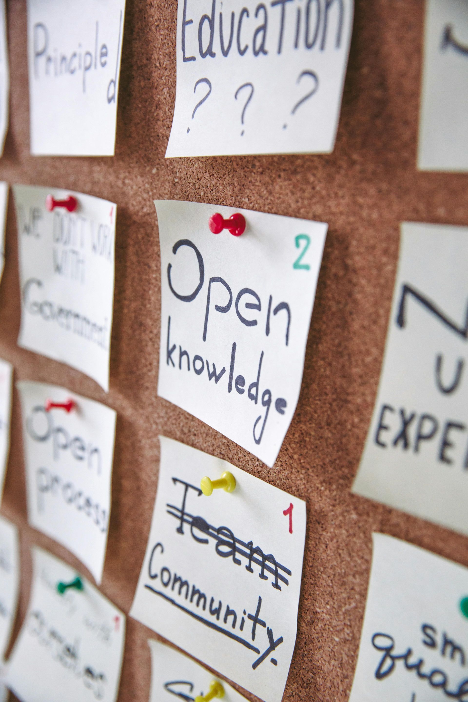 Pin board with notes