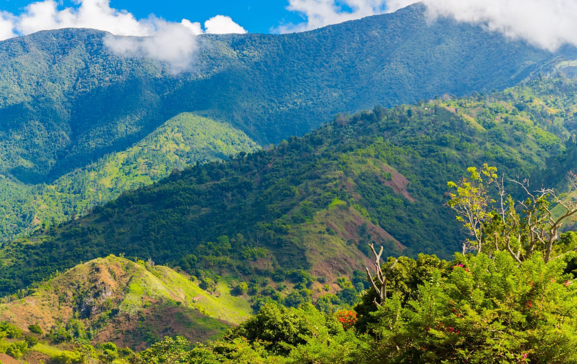 Colorful mountains surrounded by fog