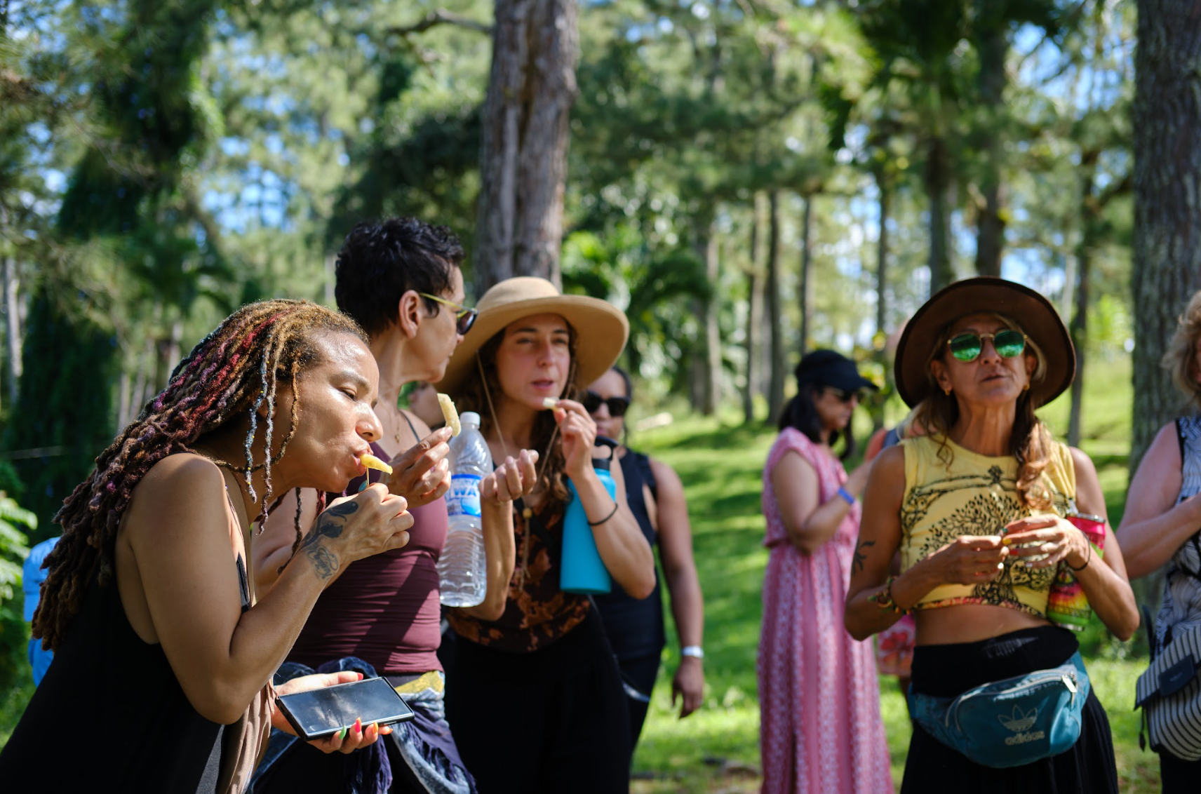 Smiling people tasting fruit on a farm tour