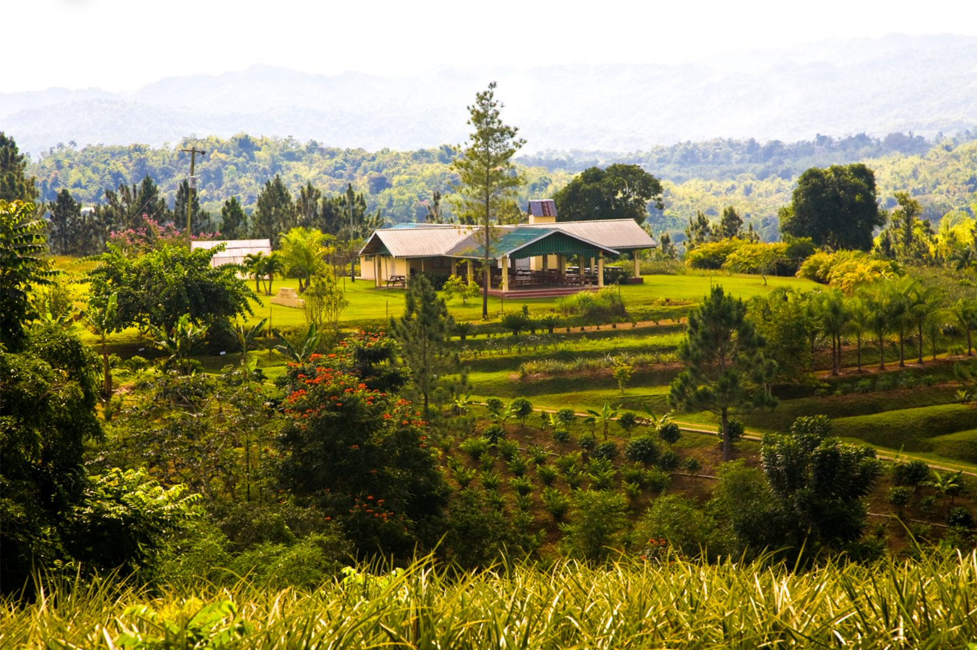 a building next to a farm in Jamaica 