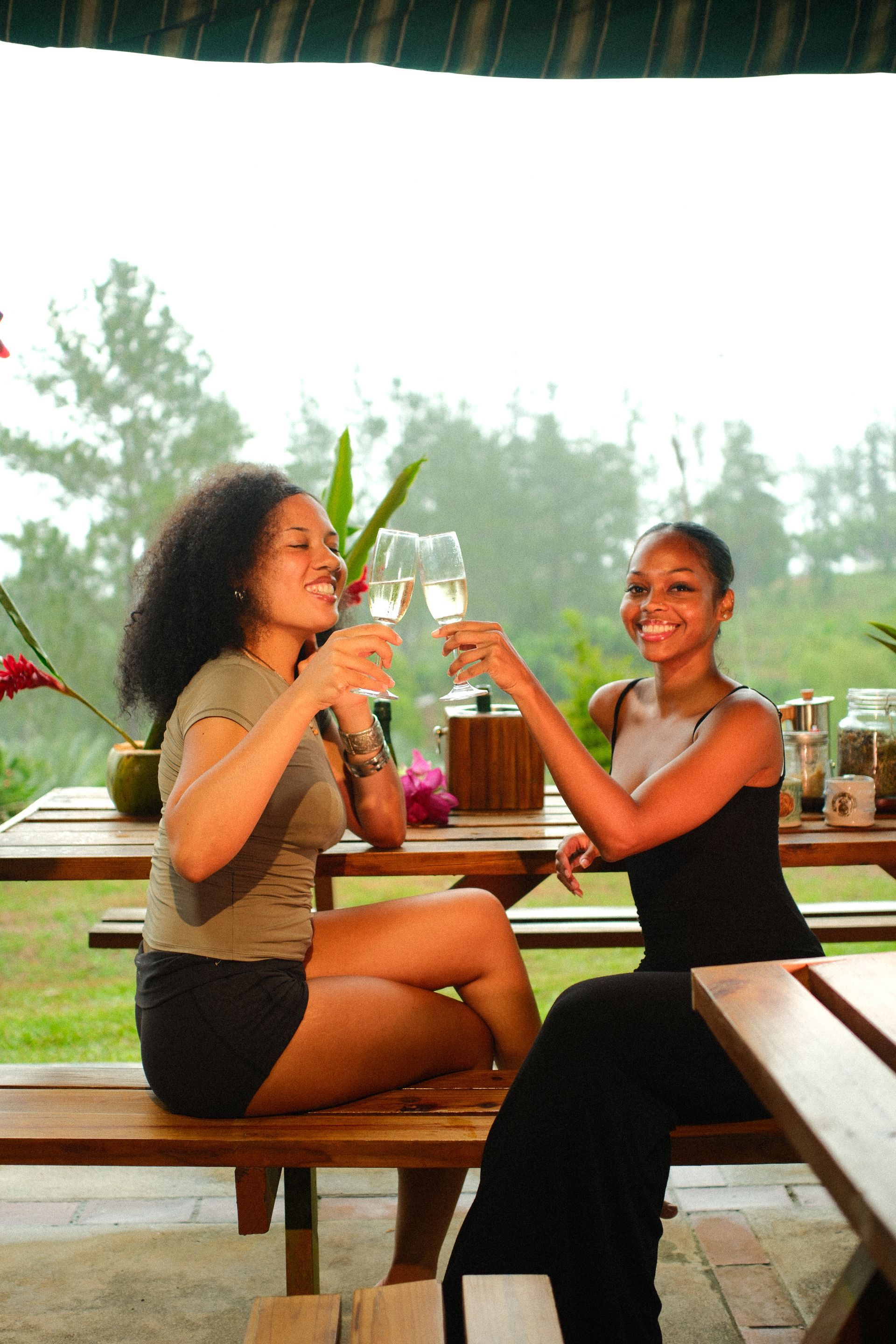 Two women are sitting at a picnic table toasting with wine glasses.