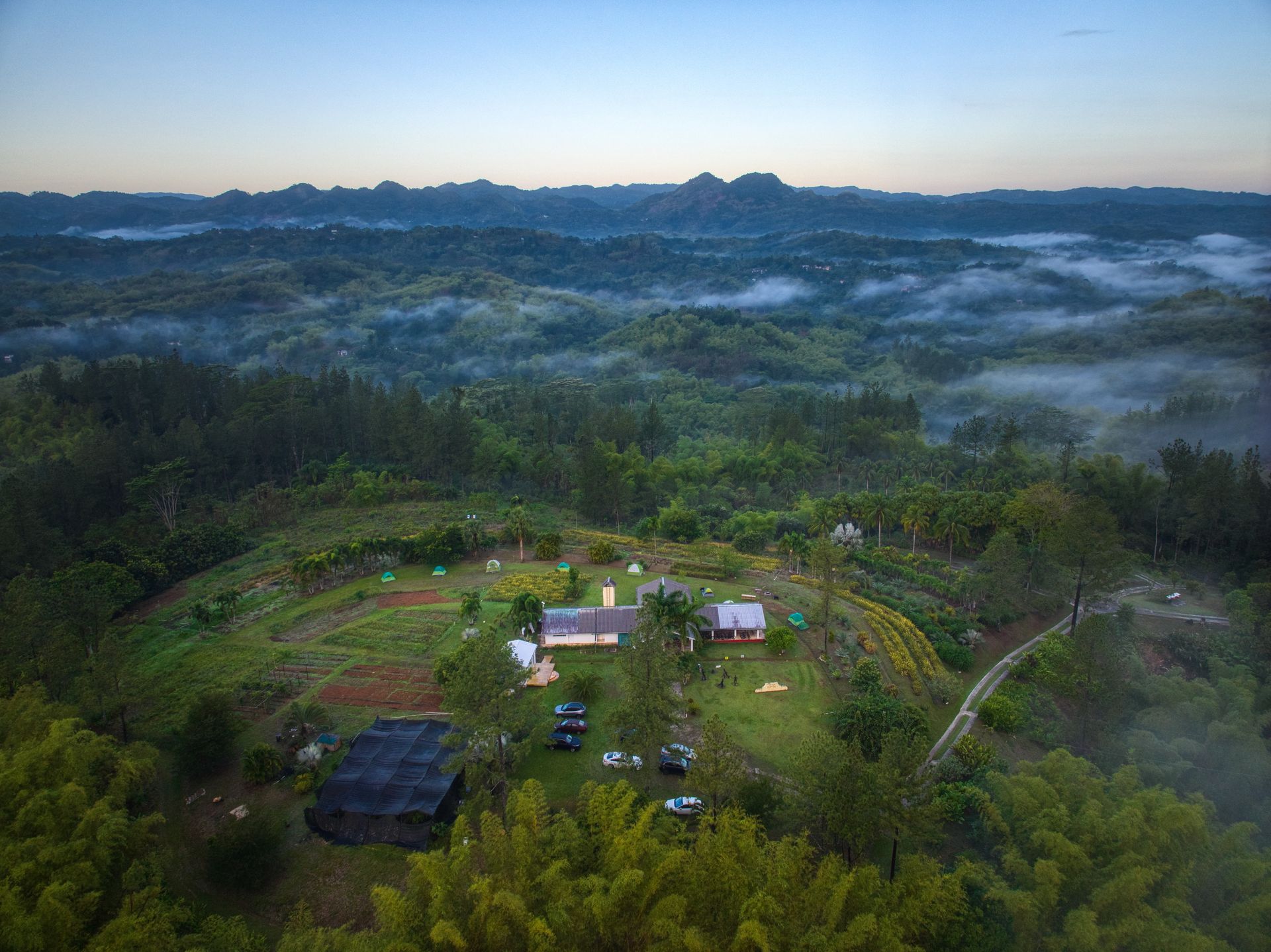 An aerial view of a lush green forest with a house in the middle of it.