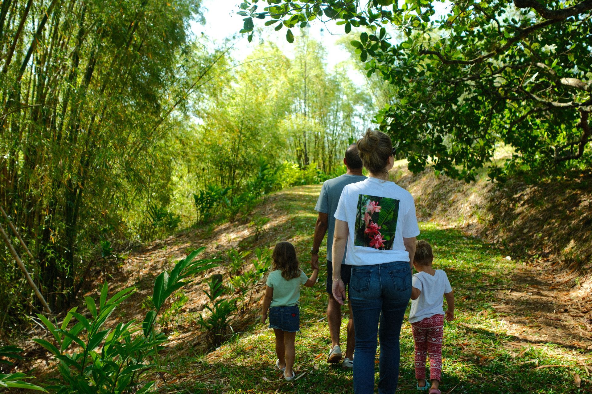 A family is walking down a path in the woods.