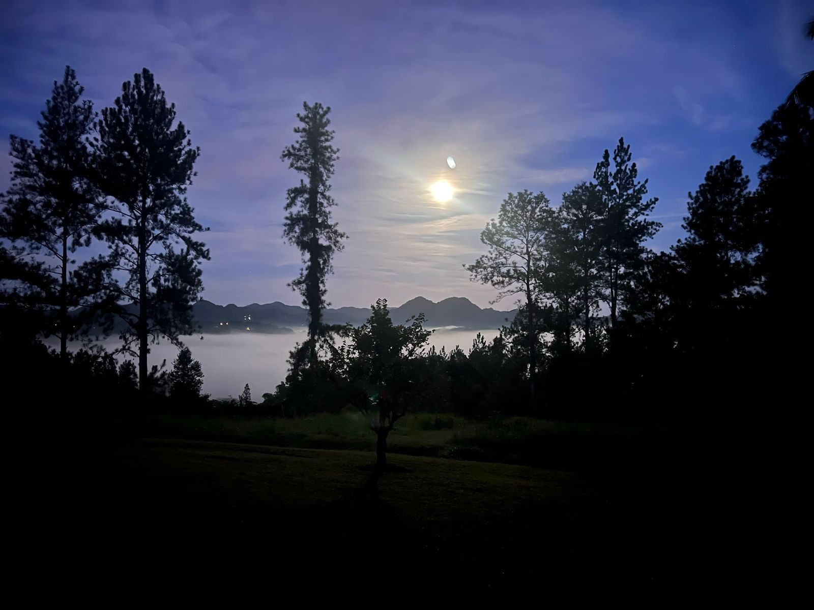 the sun rises above the fog and tropical plants