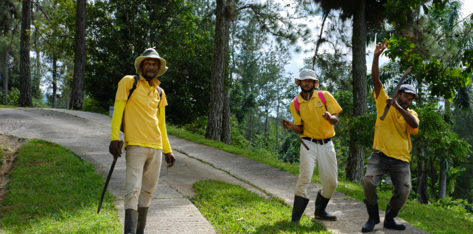 Three men in yellow shirts are standing on a path in the woods.