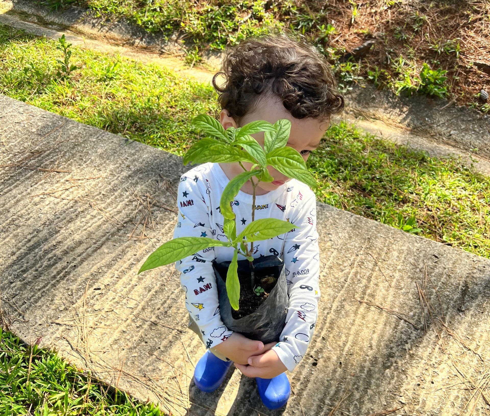 A child holds a tree seedling ready to be planted