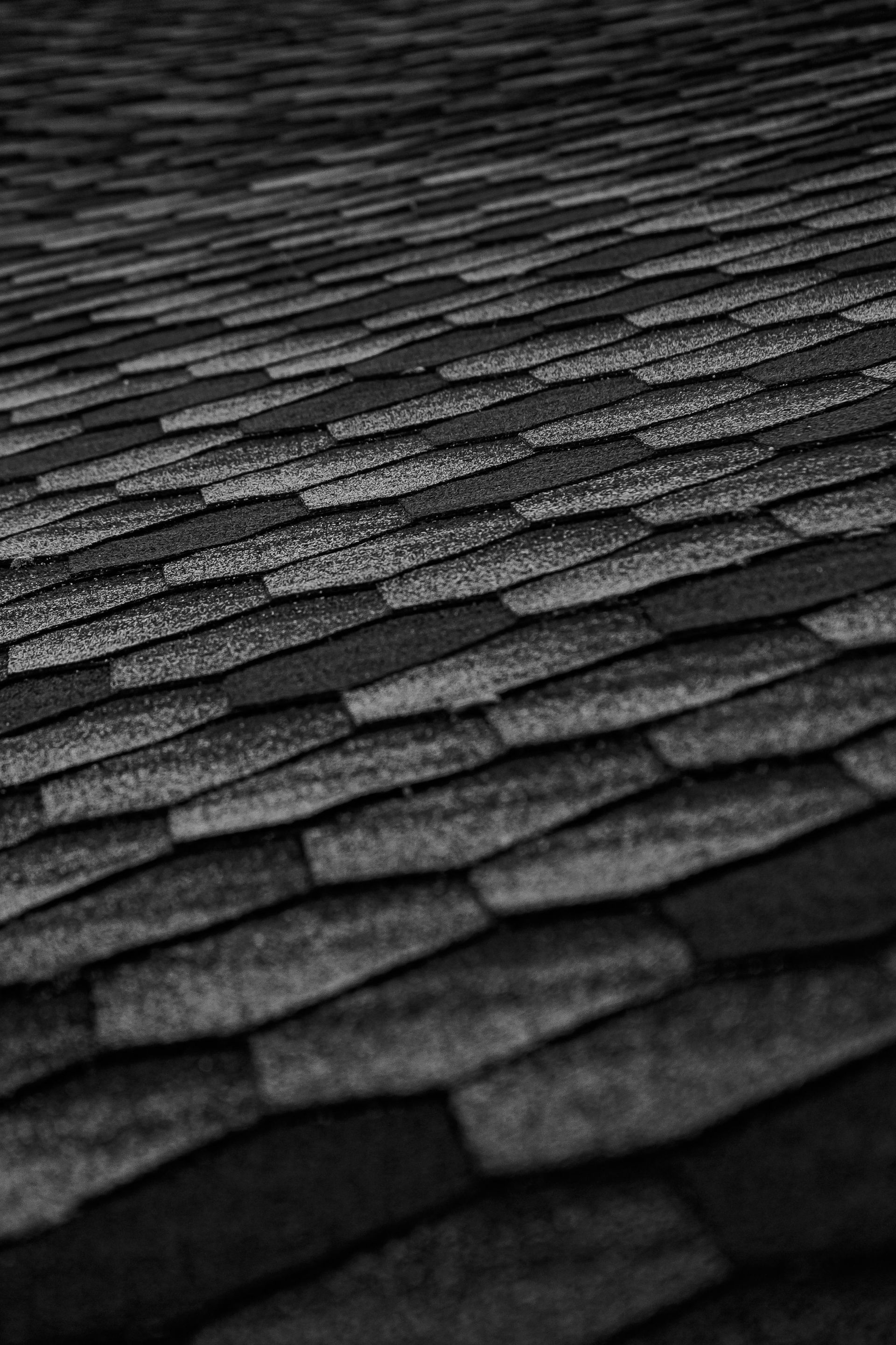 A black and white photo of a roof with shingles.