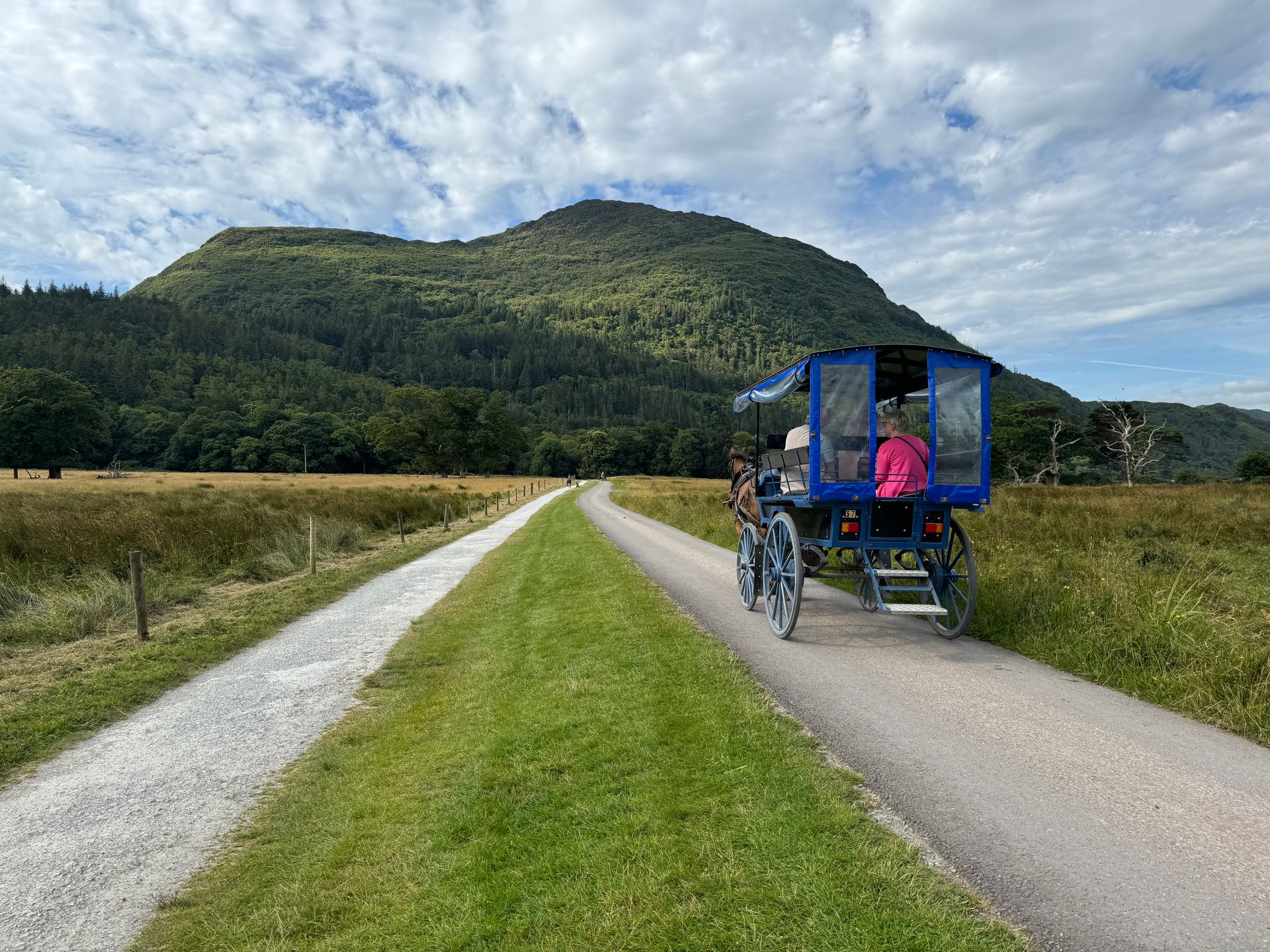 Killarney Tour
