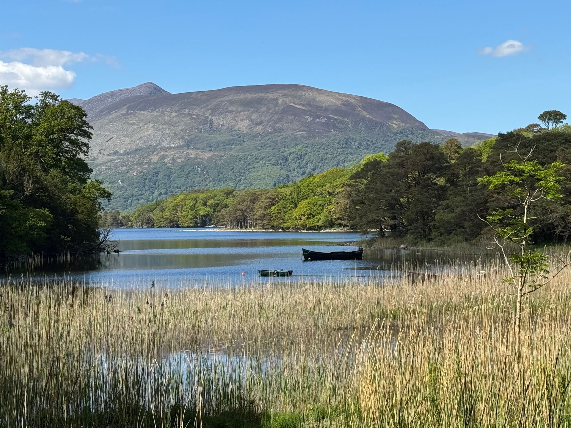 Chauffeur-guided private tour with Derek O’Keeffe driving along scenic green Irish landscape