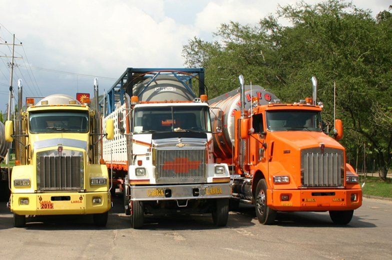 TRANSANDINA DE TANQUES LTDA - Transporte de Carga Liquida
