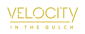 velocity in the gulch logo