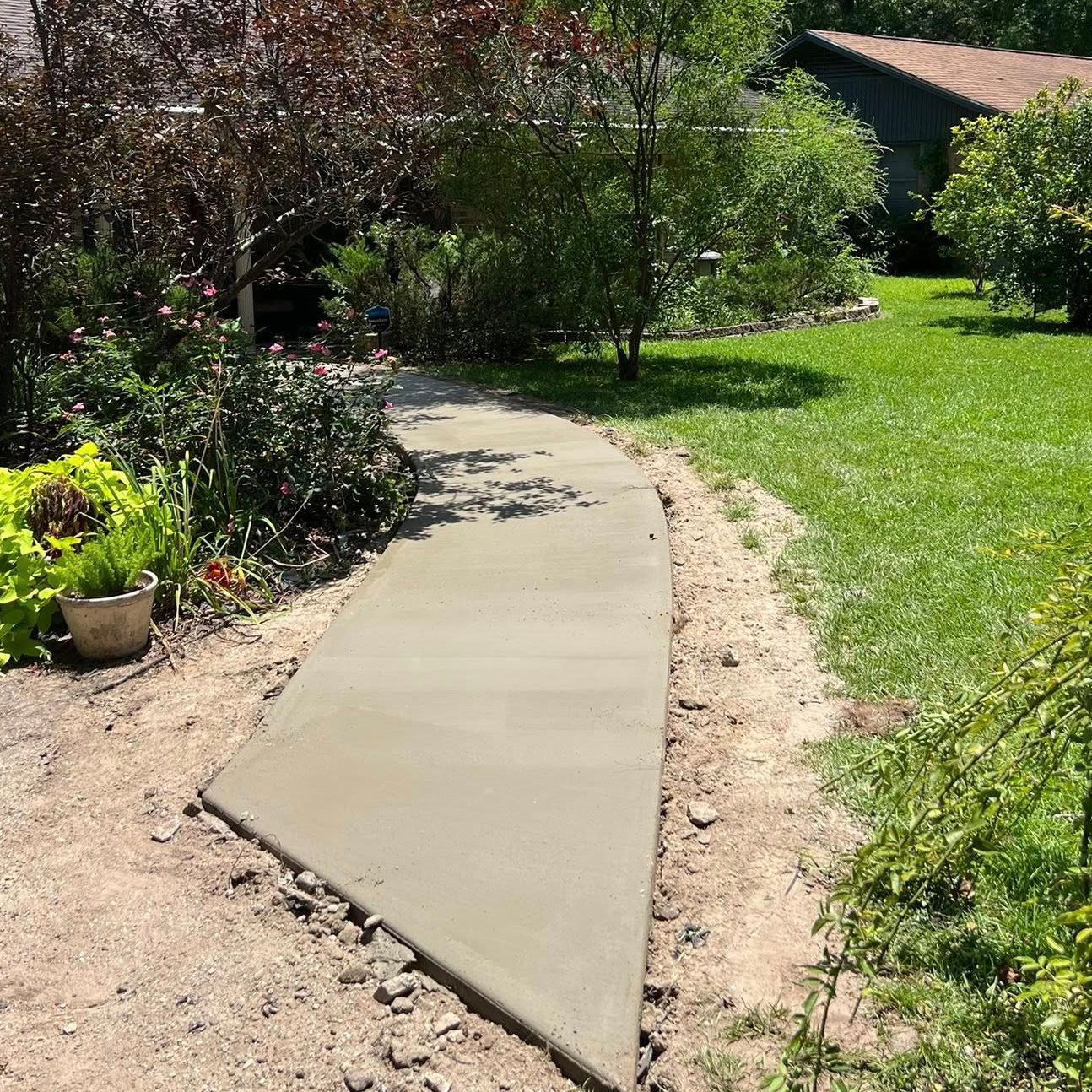 Newly poured concrete pathway curves through a garden, surrounded by plants and grass.
