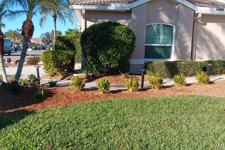 Sarasota landscaping, garden design, lawn care, hardscaping, outdoor living, landscape design, landscape maintenance, patio design, paver installation, irrigation, tree trimming, planting services, landscape contractors, residential landscaping, commercial landscaping, offered by The Beauty of Landscaping in Sarasota, FL