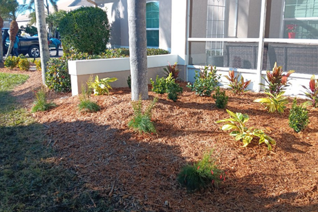 Sarasota landscaping, garden design, lawn care, hardscaping, outdoor living, landscape design, landscape maintenance, patio design, paver installation, irrigation, tree trimming, planting services, landscape contractors, residential landscaping, commercial landscaping, offered by The Beauty of Landscaping in Sarasota, FL
