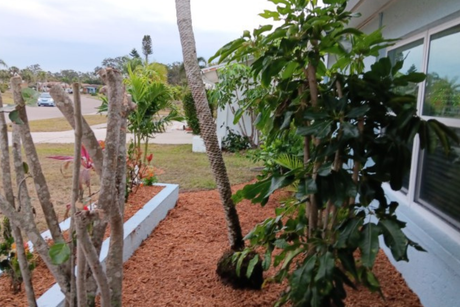 Sarasota landscaping, garden design, lawn care, hardscaping, outdoor living, landscape design, landscape maintenance, patio design, paver installation, irrigation, tree trimming, planting services, landscape contractors, residential landscaping, commercial landscaping, offered by The Beauty of Landscaping in Sarasota, FL