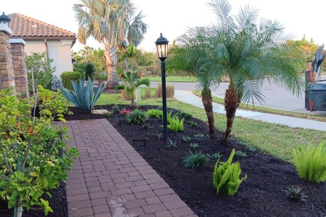 Sarasota landscaping, garden design, lawn care, hardscaping, outdoor living, landscape design, landscape maintenance, patio design, paver installation, irrigation, tree trimming, planting services, landscape contractors, residential landscaping, commercial landscaping, offered by The Beauty of Landscaping in Sarasota, FL