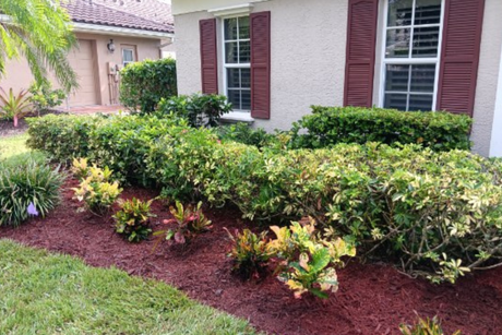 Sarasota landscaping, garden design, lawn care, hardscaping, outdoor living, landscape design, landscape maintenance, patio design, paver installation, irrigation, tree trimming, planting services, landscape contractors, residential landscaping, commercial landscaping, offered by The Beauty of Landscaping in Sarasota, FL