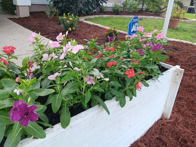 Sarasota landscaping, garden design, lawn care, hardscaping, outdoor living, landscape design, landscape maintenance, patio design, paver installation, irrigation, tree trimming, planting services, landscape contractors, residential landscaping, commercial landscaping, offered by The Beauty of Landscaping in Sarasota, FL
